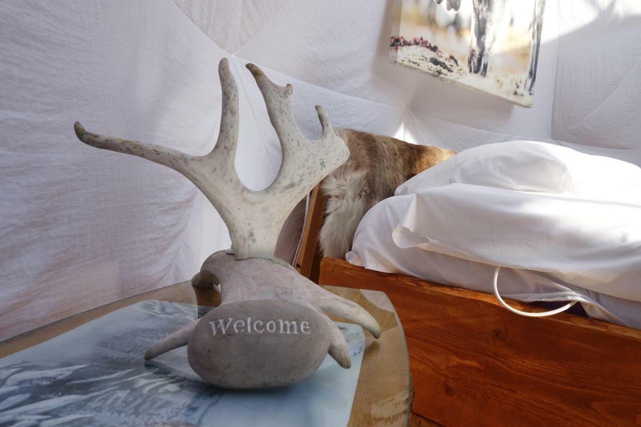 Wild Caribou Dome Ξενοδοχείο Lakselv Εξωτερικό φωτογραφία